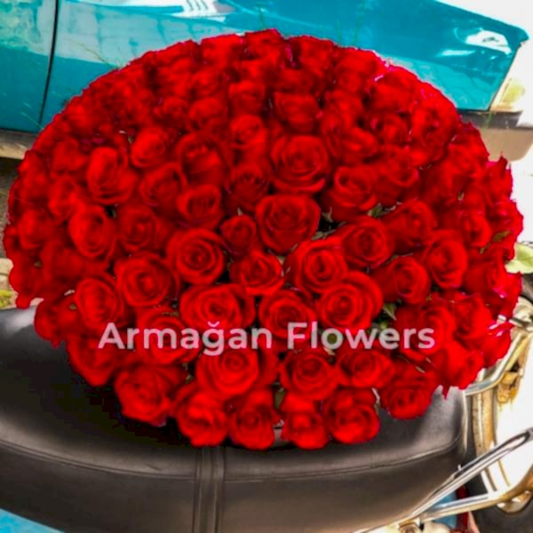  Alanya online çiçek - 101 Kırmızı Gül Kutu İçinde 