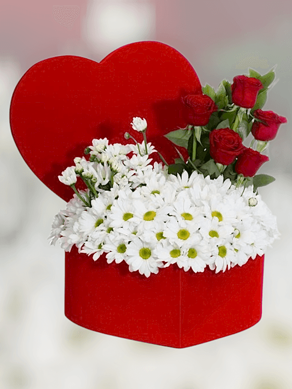 Alanya çiçekçi - Kalp Kutuda Papatya ve Güller