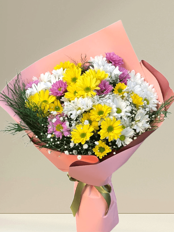 Alanya çiçekçi - Rengarenk Papatyalar