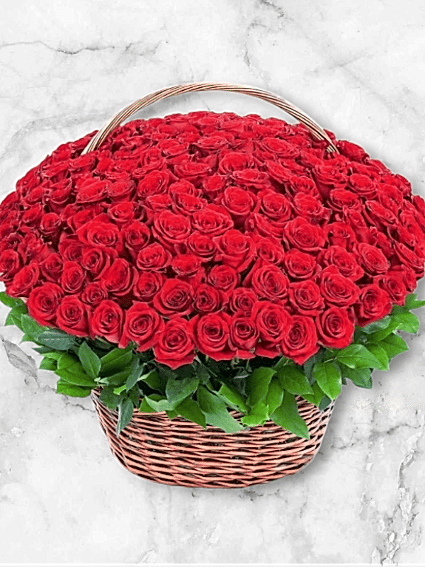  Alanya çiçek gönder - 125 Kırmızı Güller Sepet İçerisinde