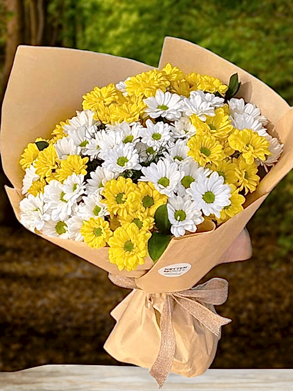  Купить цветы Алания - Sarı Beyaz Papatyalar