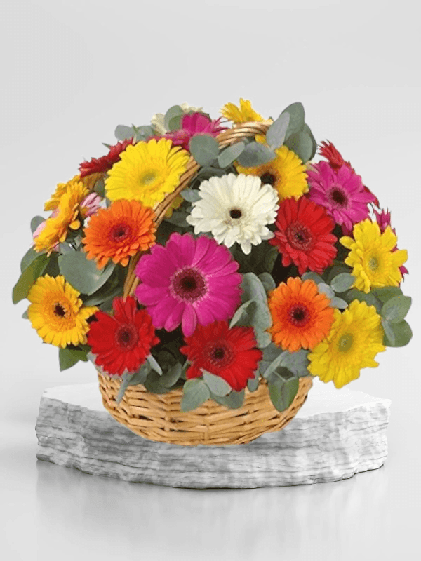 Alanya çiçekçi - Sepette Gerbera Arajmanı