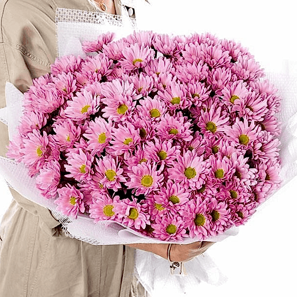 Alanya çiçekçi - Pembe Papatya Buketi