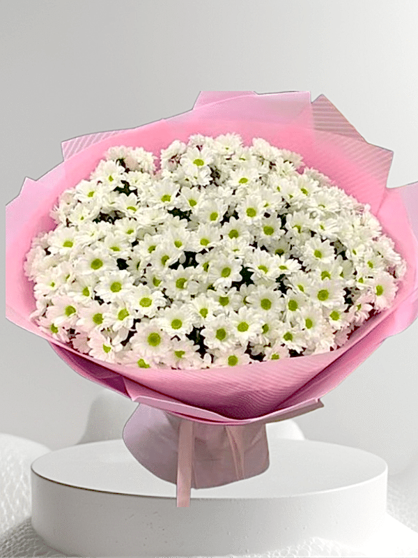  Alanya online çiçek - Büyük Boy Beyaz Papatya Buketi