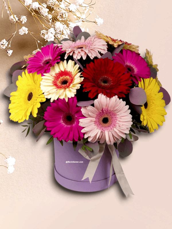  Доставка цветов Алания - Kutuda Gerbera Buketi