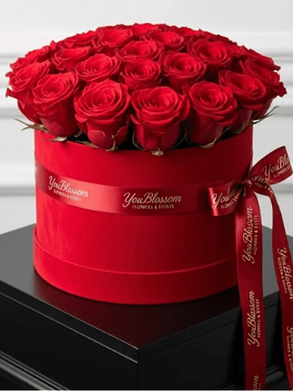  Alanya Blumen - Kutuda 33 Güller