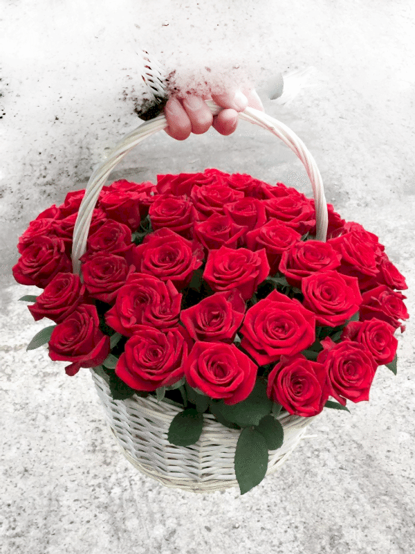  Armağan Çiçekçilik Alanya - Vazoda 33 Kırmızı Güller
