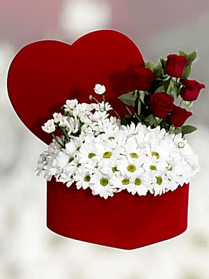 Alanya çiçekçi - Kalp Kutuda Papatya ve Güller