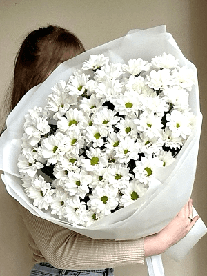 Alanya çiçekçi - Papatya Buketi 