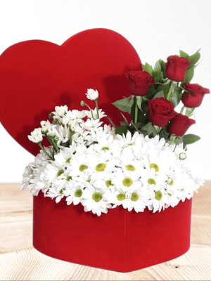  Alanya online çiçek - Kalp Kutuda Papatya ve Güller