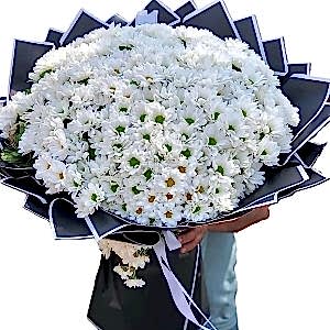  Alanya online çiçek - Alanya Çiçek 08