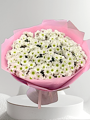  Alanya online çiçek - Büyük Boy Beyaz Papatya Buketi