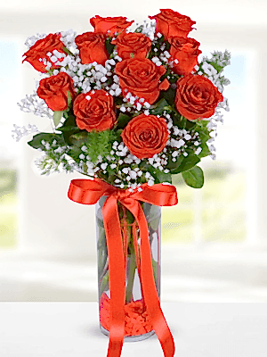  Alanya aynı gün çiçek - Vazoda 11 Kımızı Gül