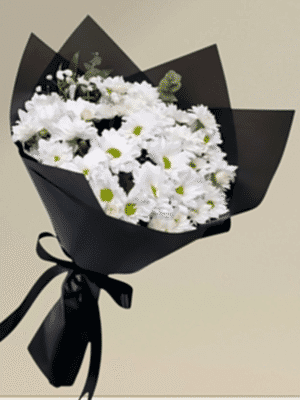 Alanya çiçekçi - Beyaz Papatya Demeti