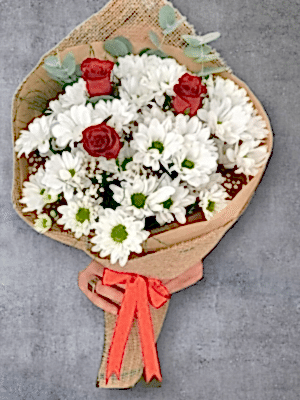  Armağan Çiçekçilik Alanya - Papatya ve Güller