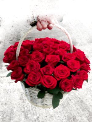  Armağan Çiçekçilik Alanya - Vazoda 33 Kırmızı Güller